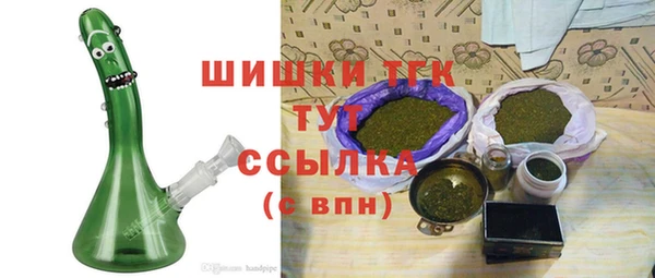 гашик Бородино