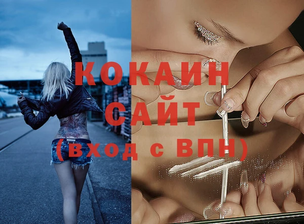 гашик Бородино