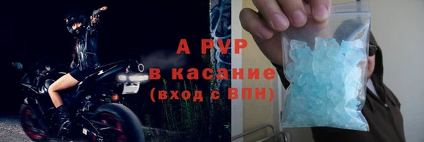 гашик Бородино