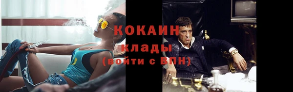 твердый Бронницы