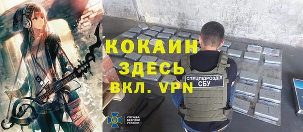 твердый Бронницы