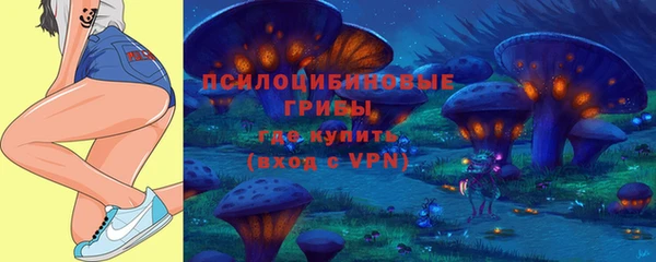 твердый Бронницы