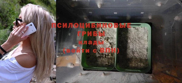 MESCALINE Верхний Тагил
